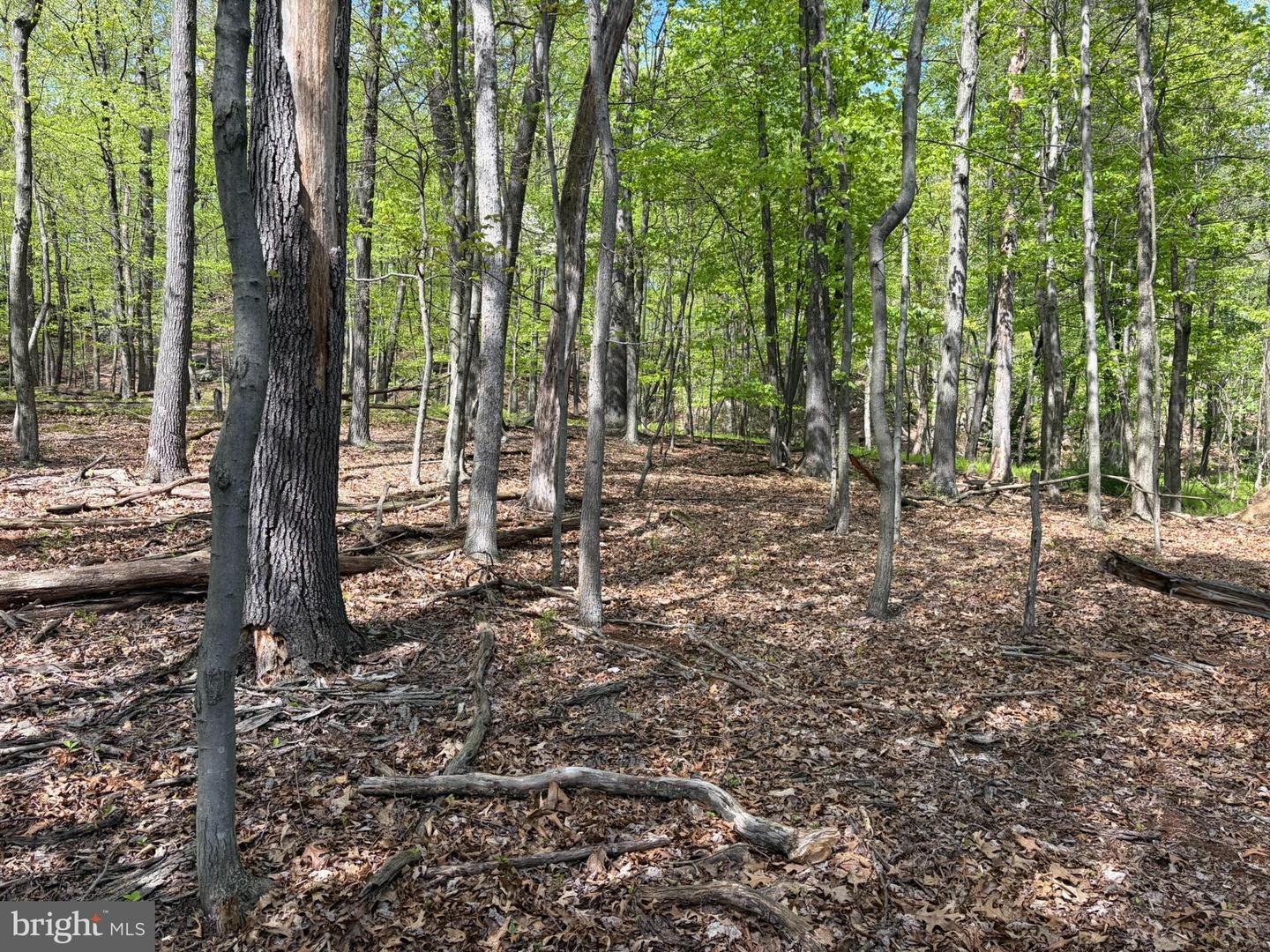 Lot- William Penn Hwy Property Photo 9