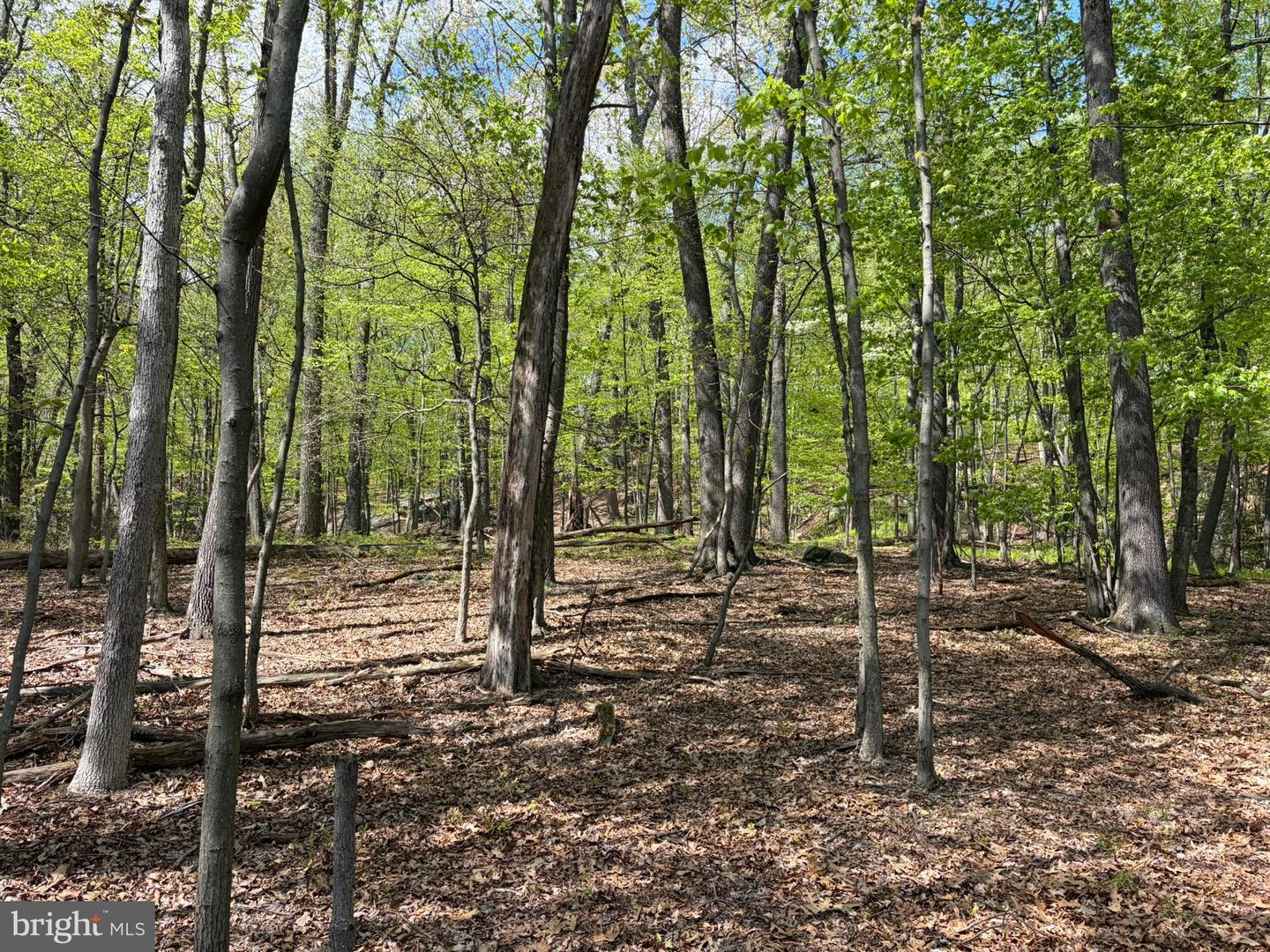 Lot- William Penn Hwy Property Photo 10