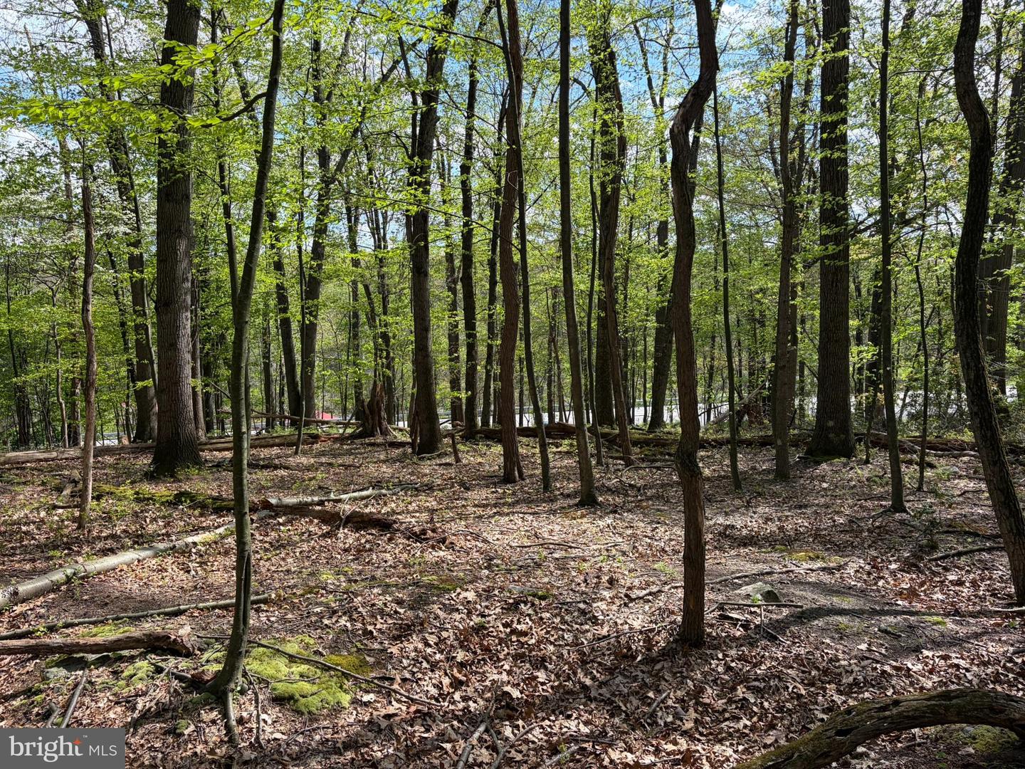 Lot- William Penn Hwy Property Photo 11