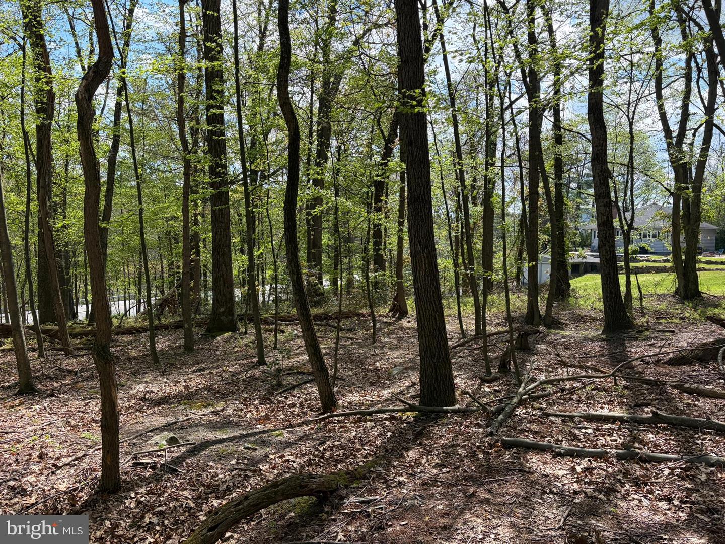 Lot- William Penn Hwy Property Photo 12