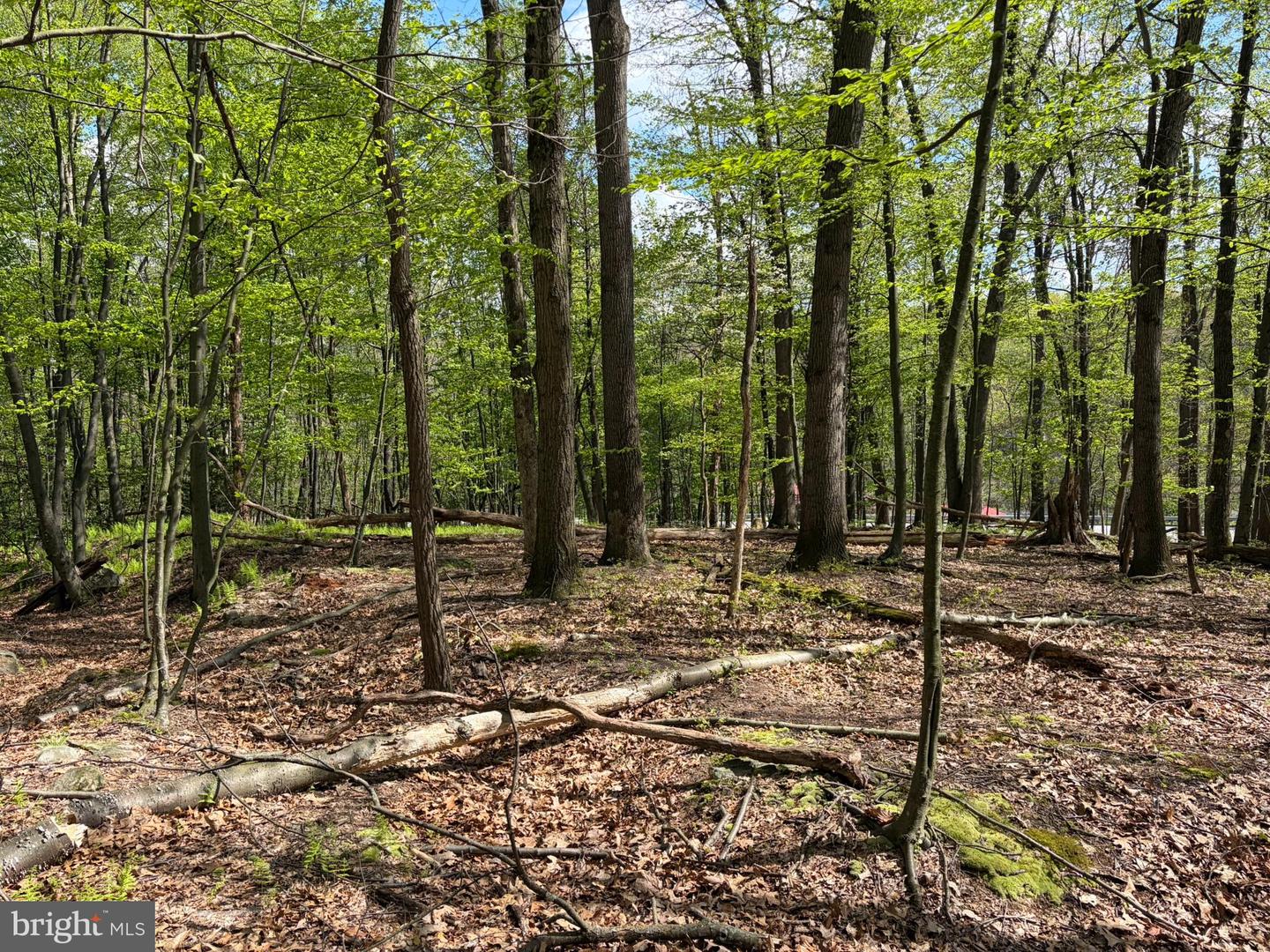 Lot- William Penn Hwy Property Photo 13