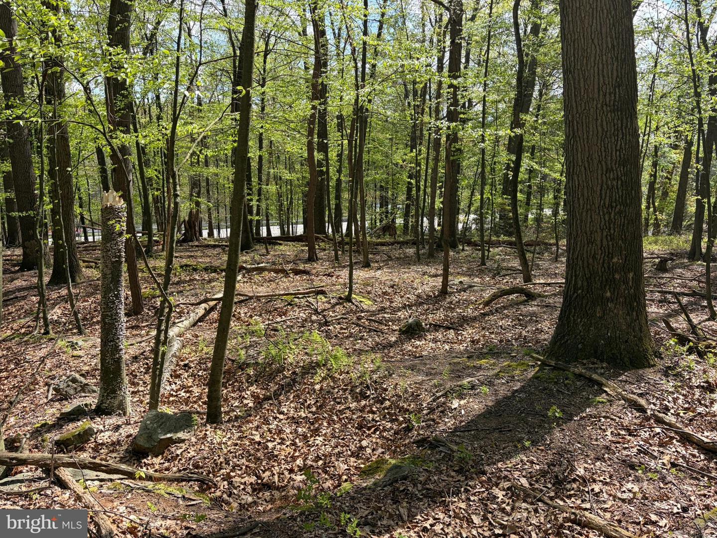 Lot- William Penn Hwy Property Photo 14