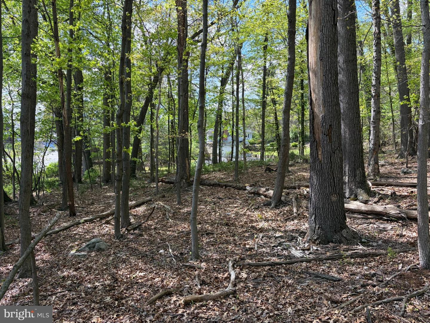 Lot- William Penn Hwy Property Photo 15