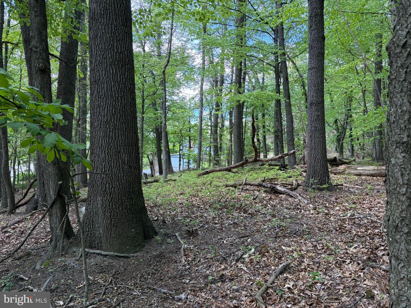 Lot- William Penn Hwy Property Photo 16