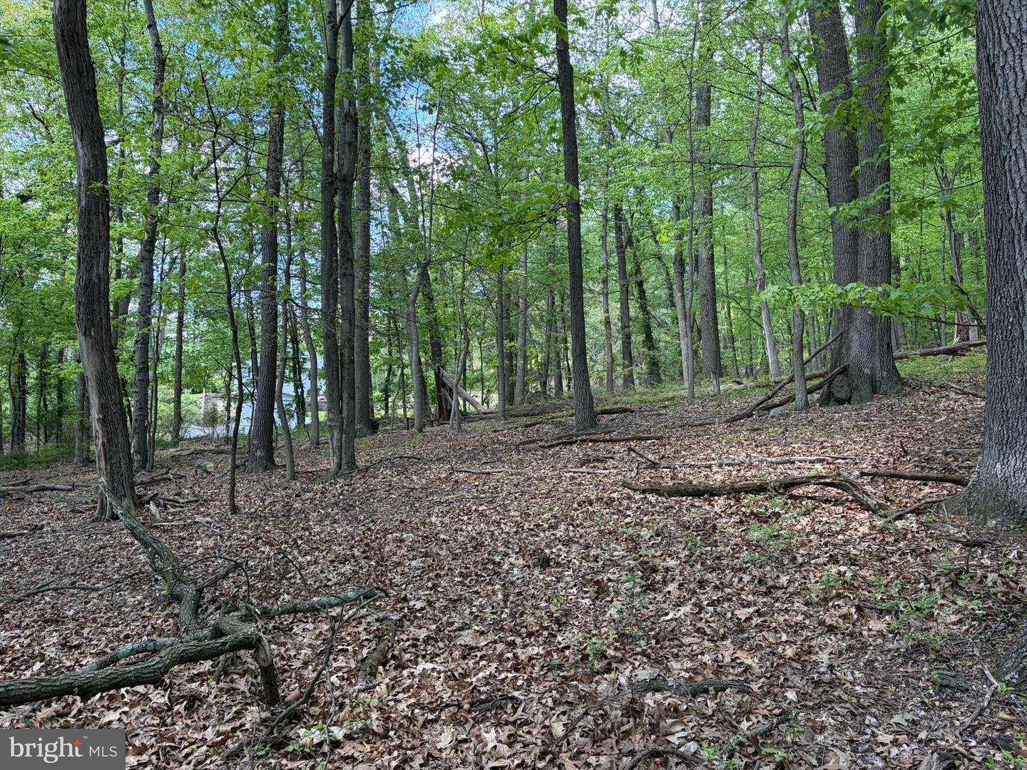 Lot- William Penn Hwy Property Photo 17