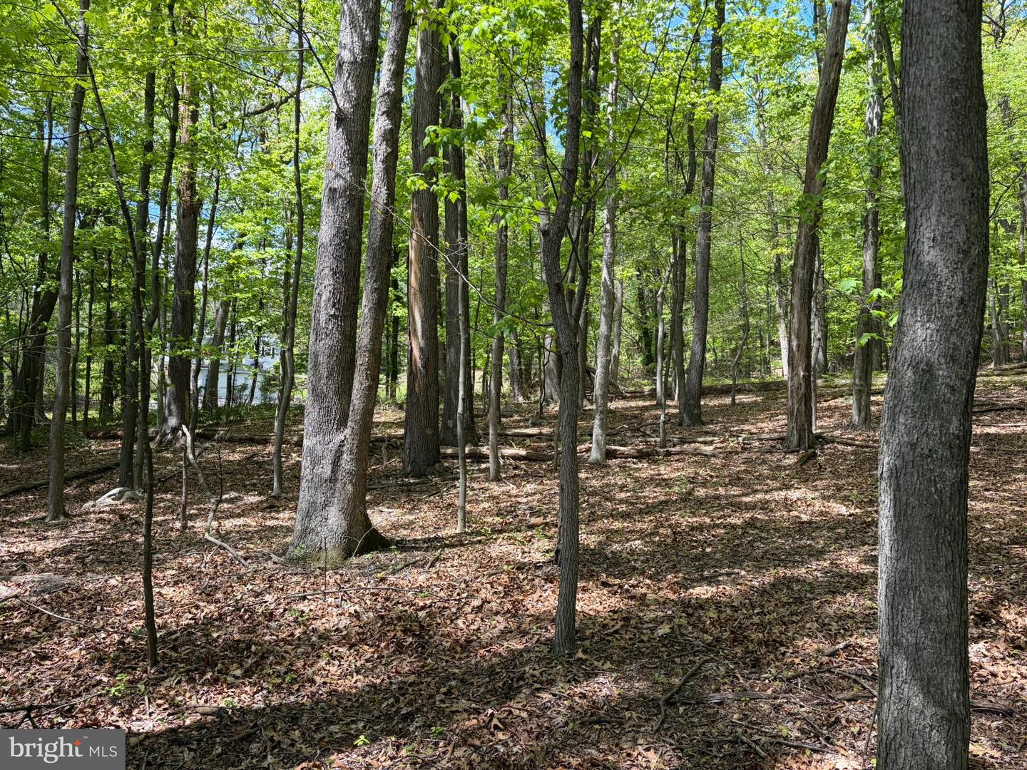 Lot- William Penn Hwy Property Photo 18