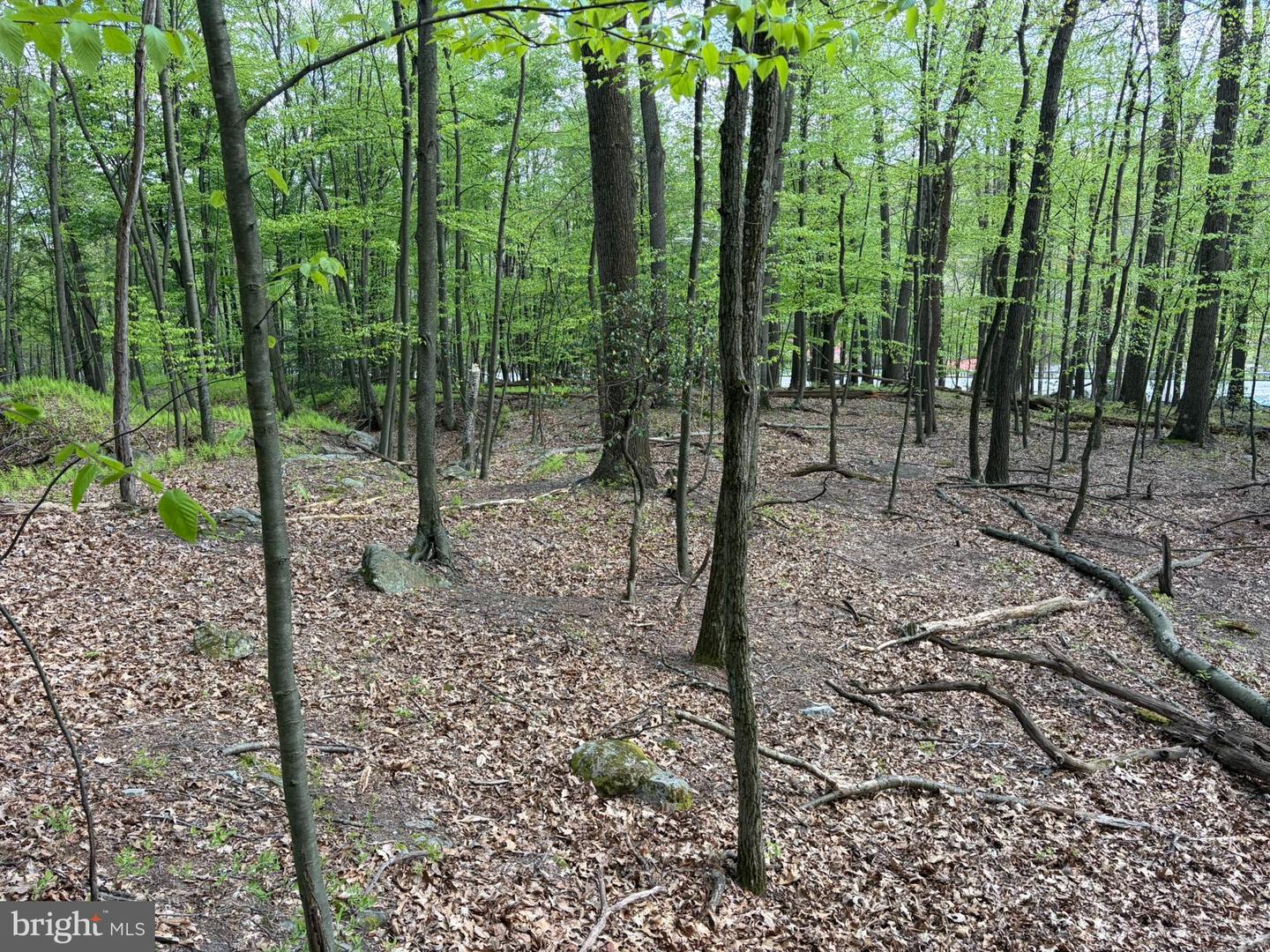 Lot- William Penn Hwy Property Photo 19