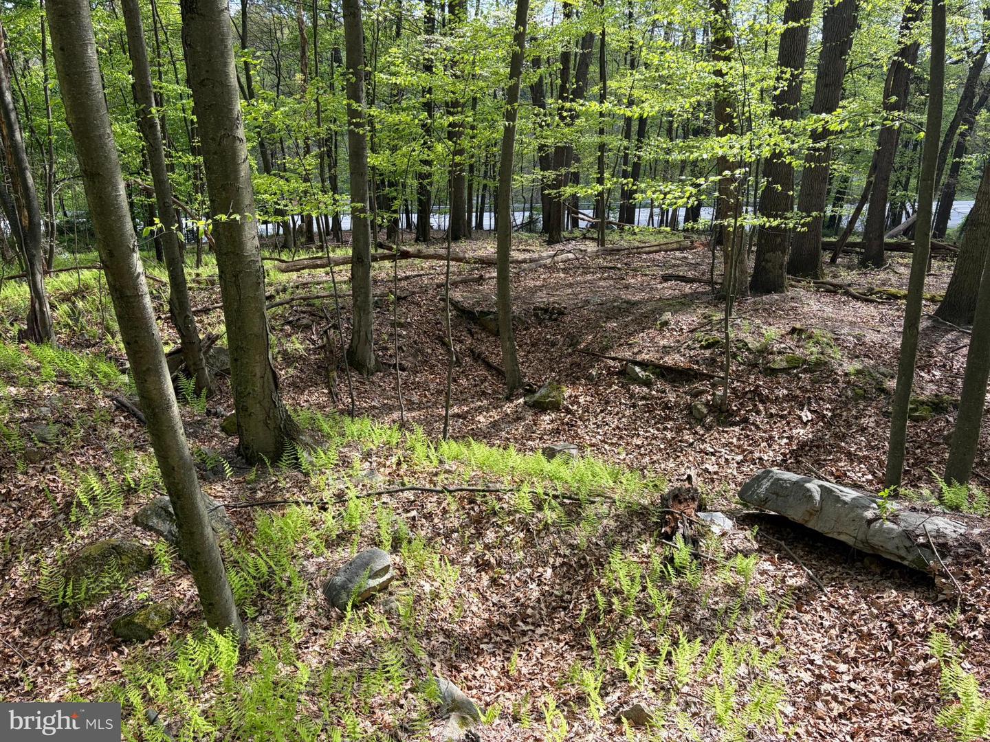 Lot- William Penn Hwy Property Photo 20