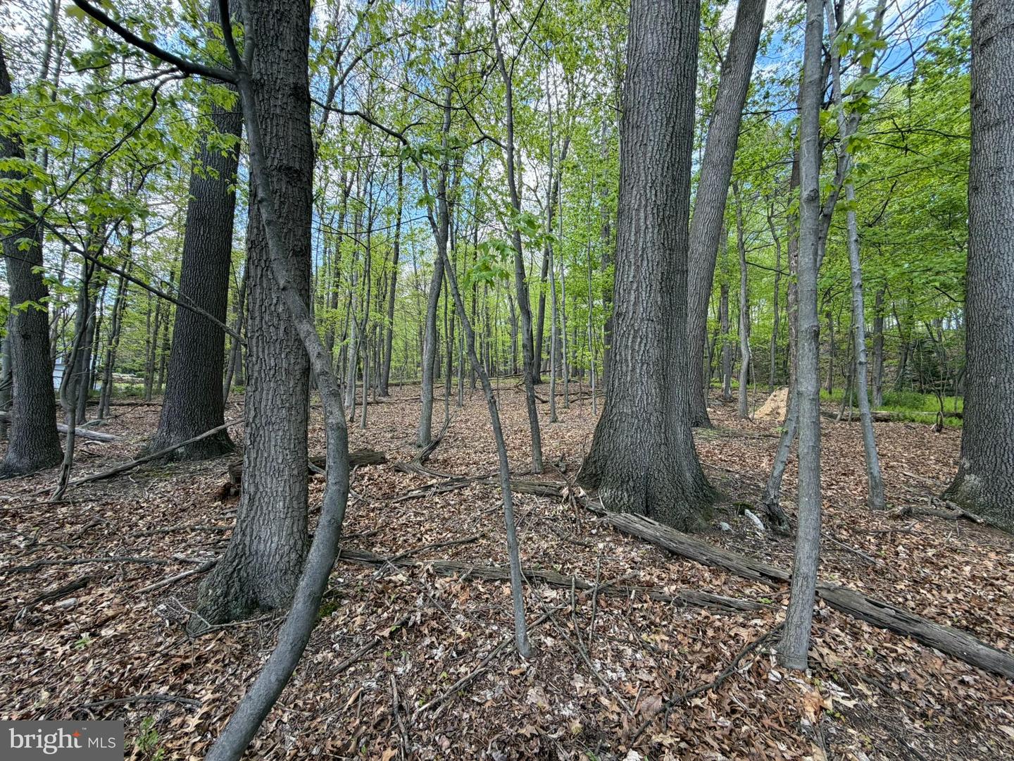 Lot- William Penn Hwy Property Photo 21
