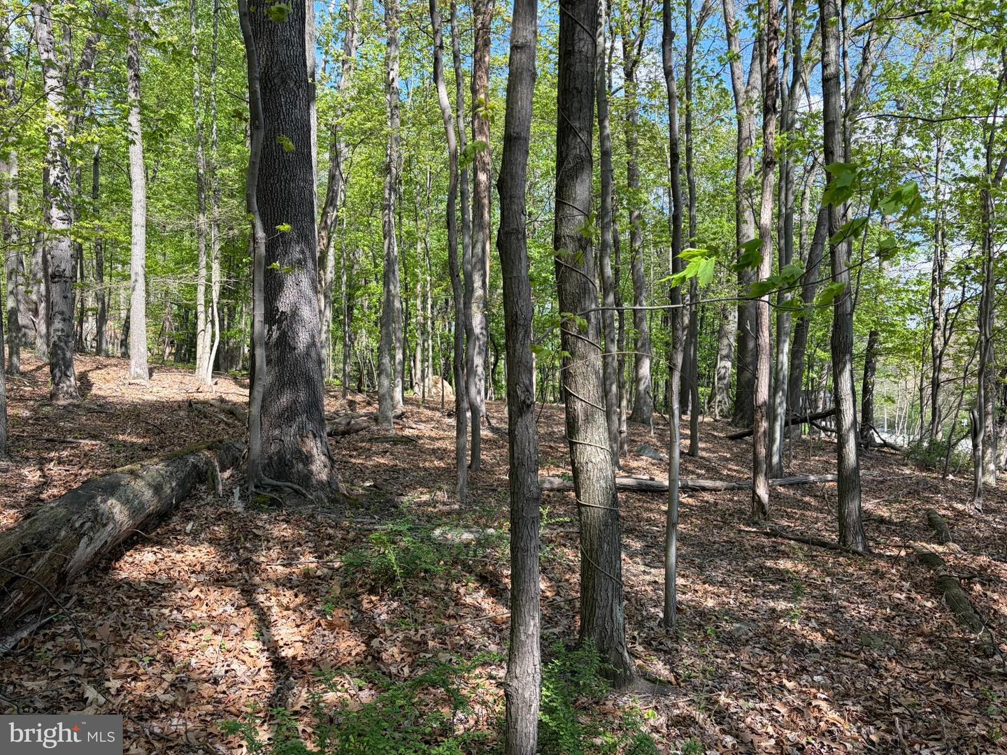 Lot- William Penn Hwy Property Photo 22