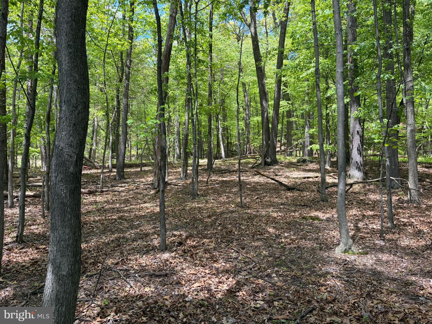 Lot- William Penn Hwy Property Photo 23