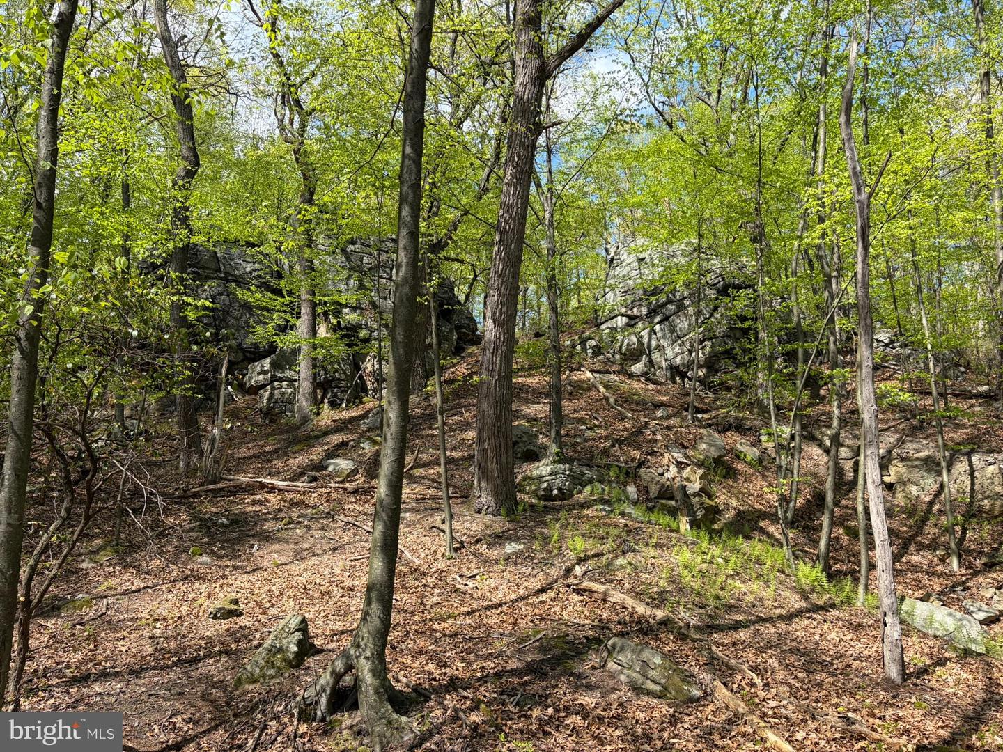 Lot- William Penn Hwy Property Photo 24