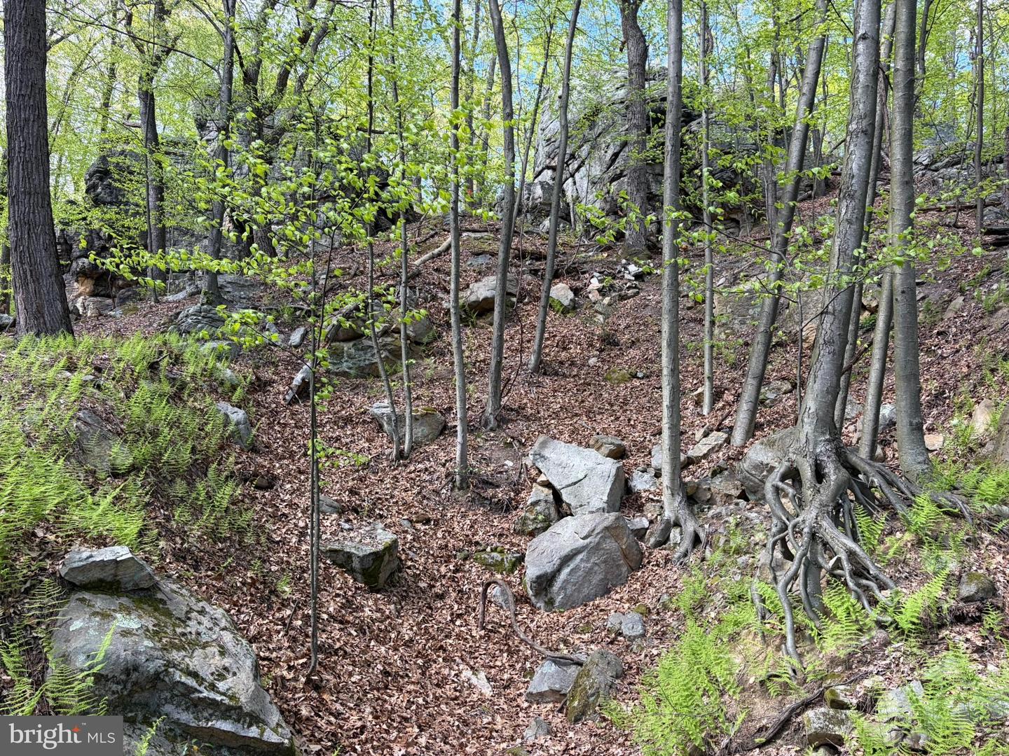 Lot- William Penn Hwy Property Photo 25