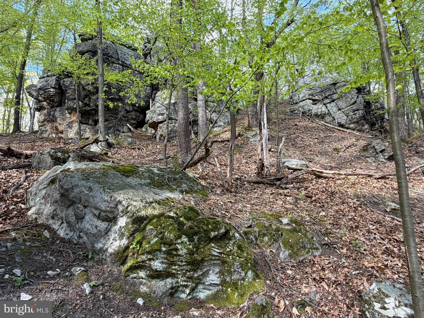Lot- William Penn Hwy Property Photo 26