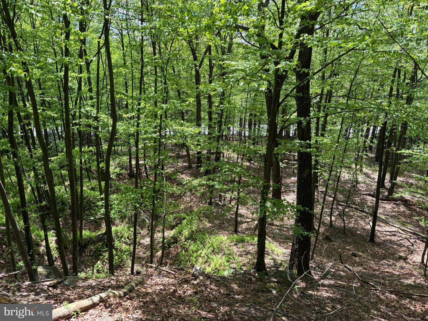 Lot- William Penn Hwy Property Photo 27