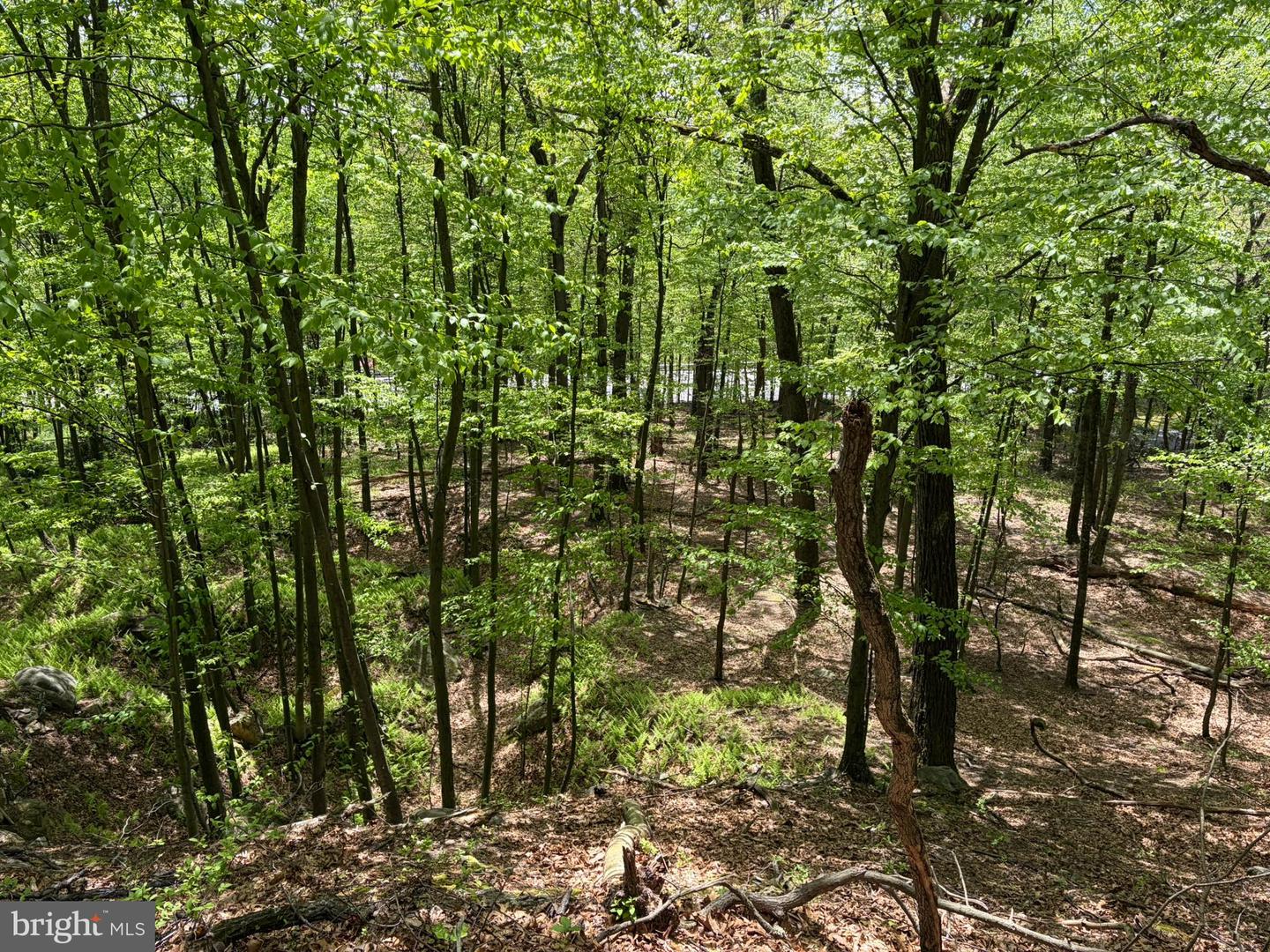 Lot- William Penn Hwy Property Photo 28