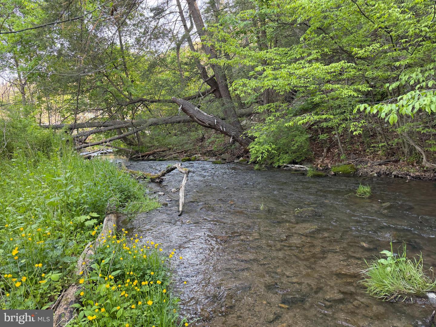 Tract 1: 142.55+/- Acres William Penn Highway Property Photo 9