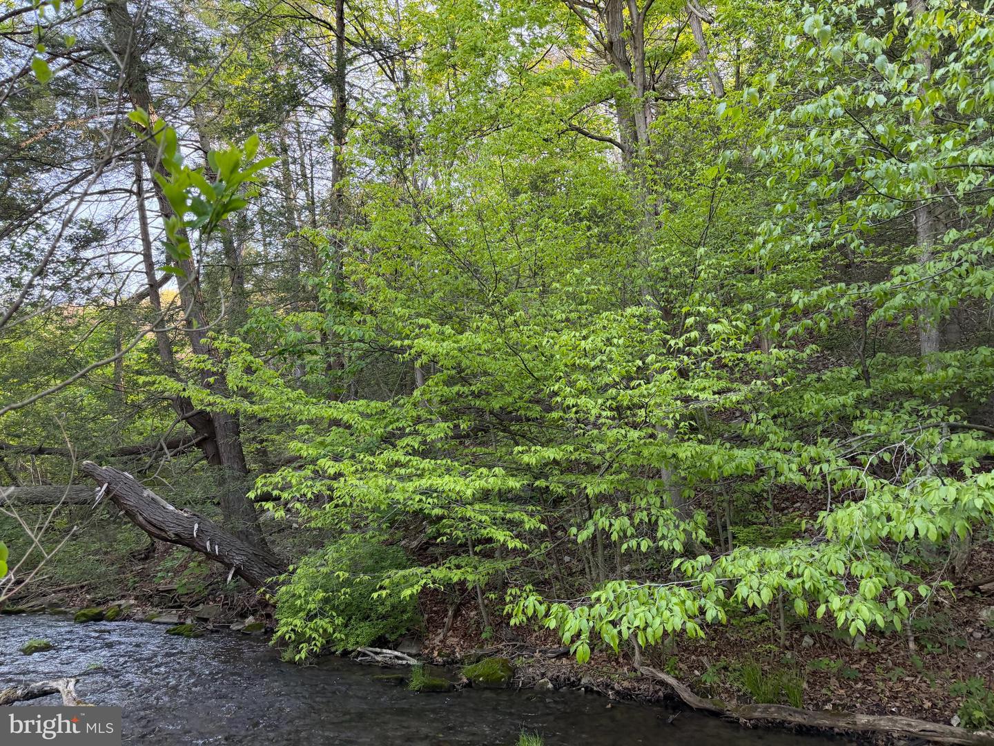 Tract 1: 142.55+/- Acres William Penn Highway Property Photo 10