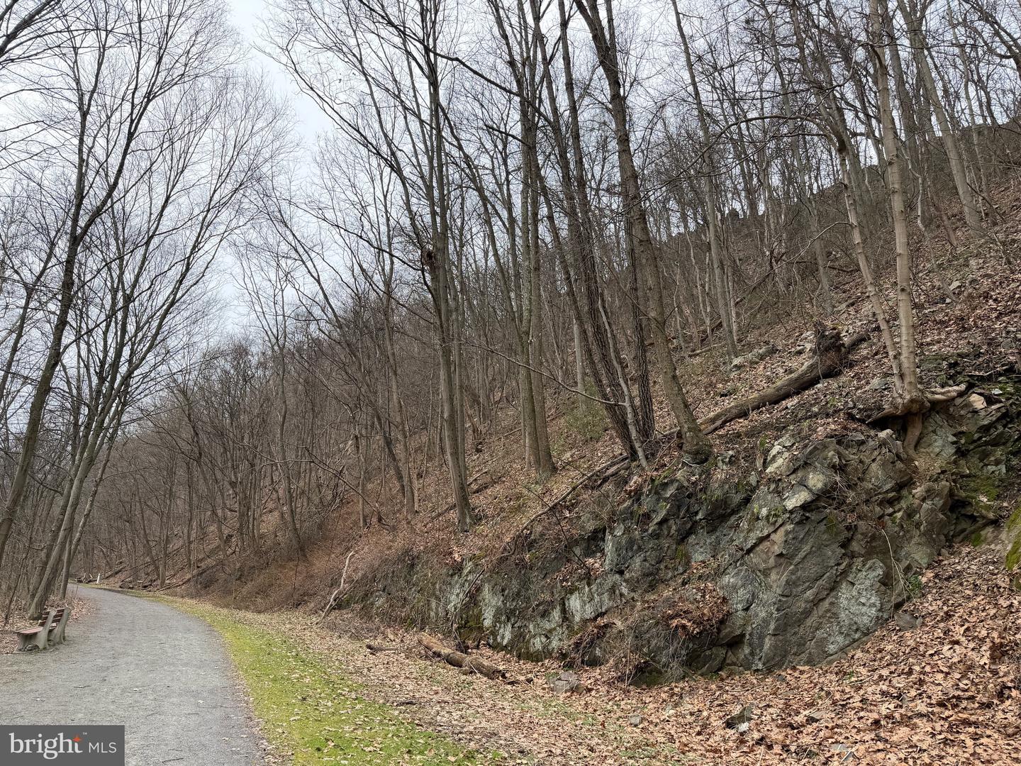 Tract 1: 142.55+/- Acres William Penn Highway Property Photo 13