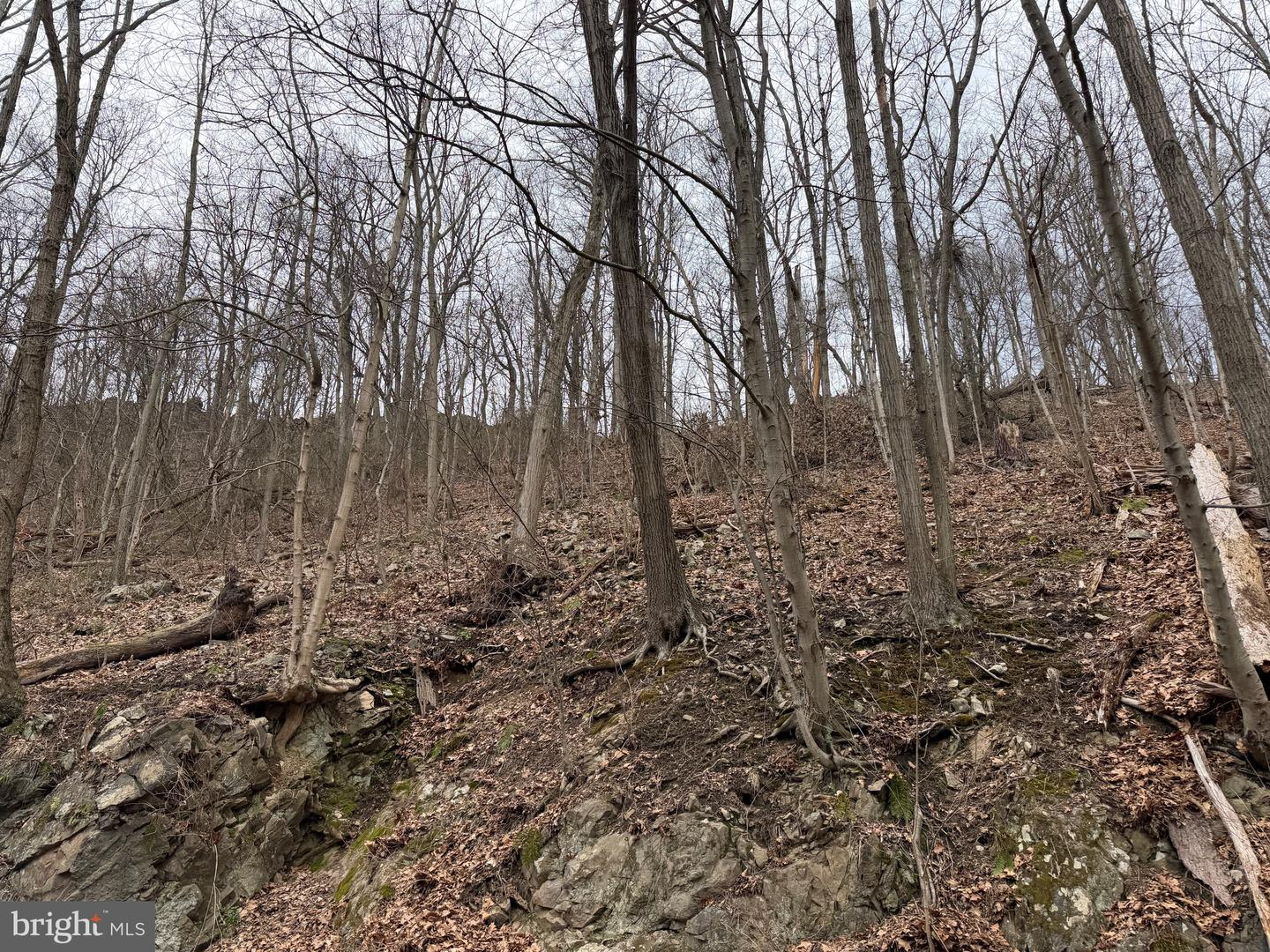 Tract 1: 142.55+/- Acres William Penn Highway Property Photo 14