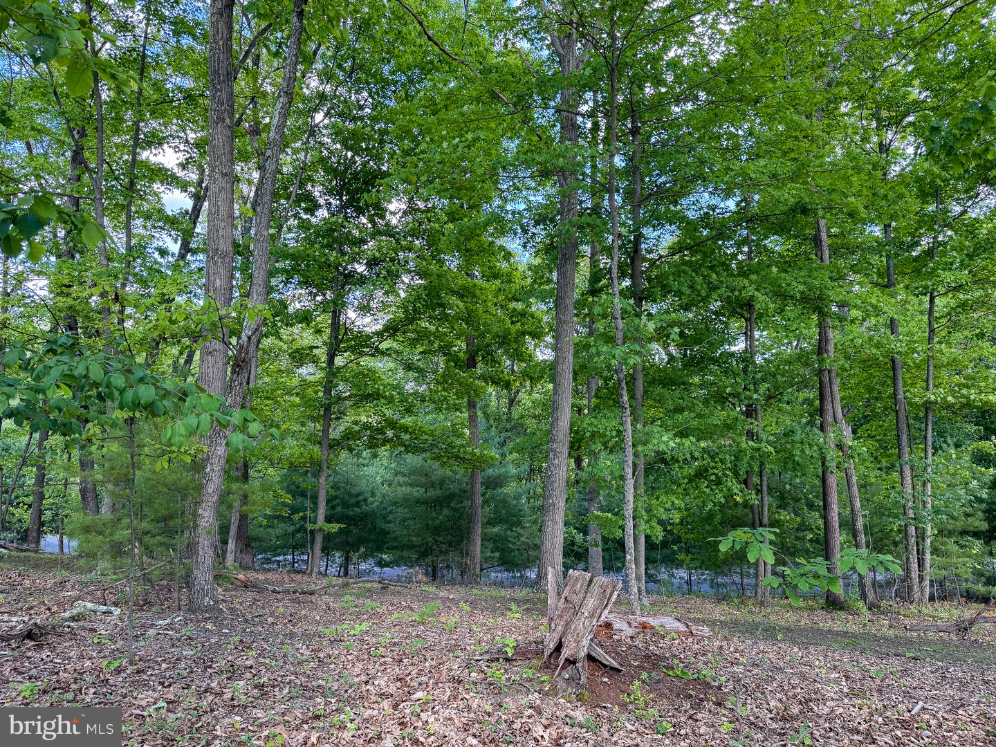 Lot 22 Echo Hts Property Photo 2
