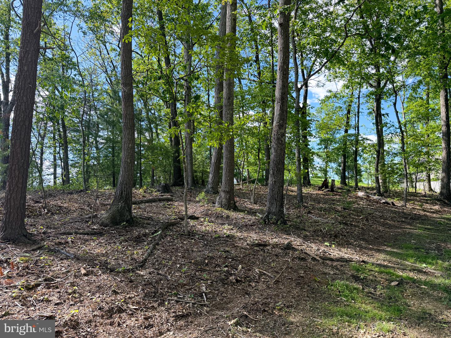 Lot 22 Echo Hts Property Photo 3