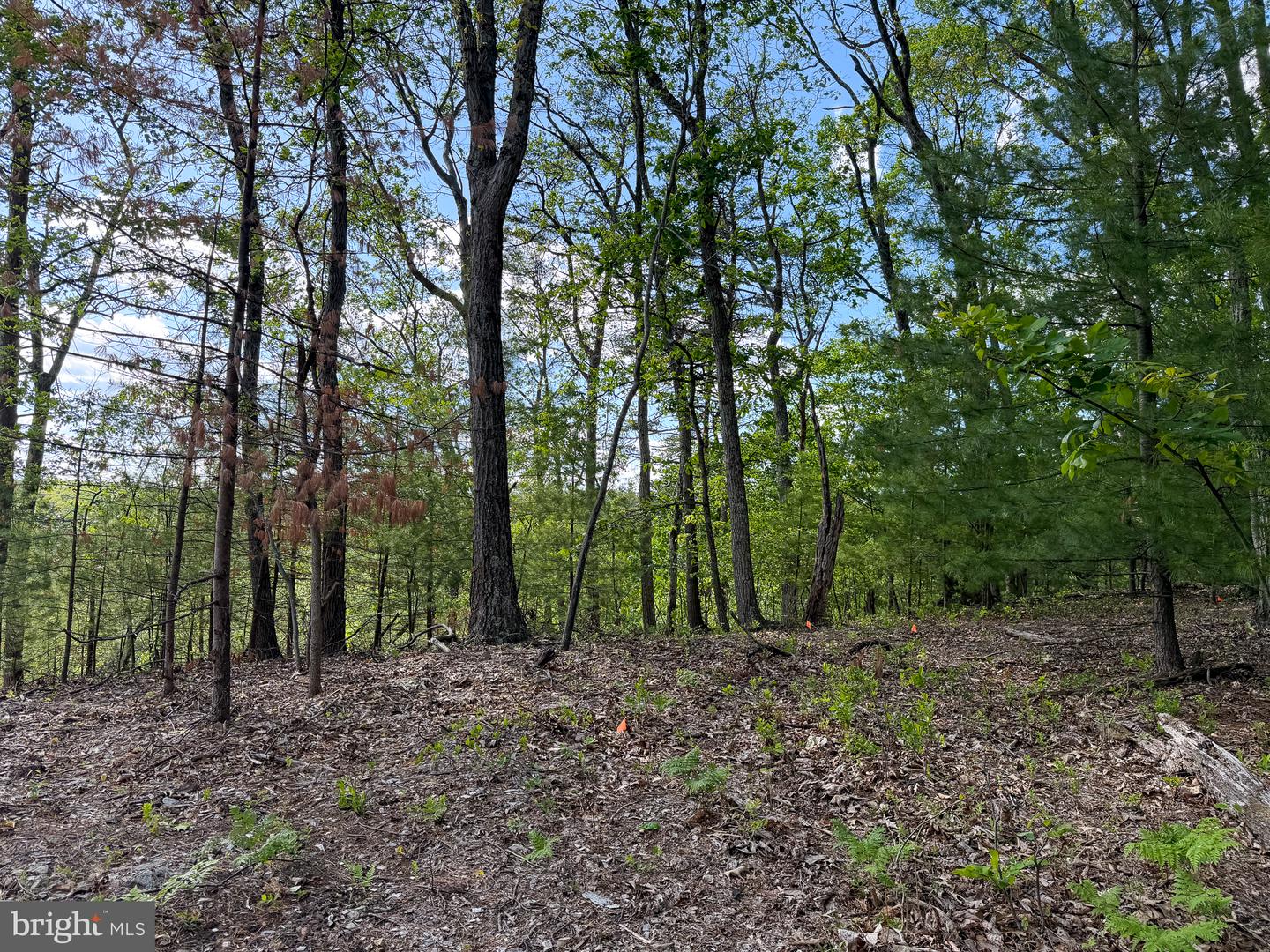 Lot 22 Echo Hts Property Photo 4