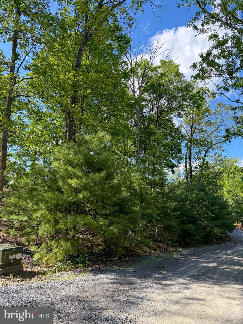Lot 22 Echo Hts Property Photo 6