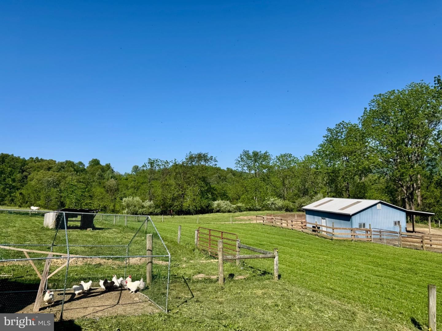 11698 Chaney Spring Rd Property Photo 82