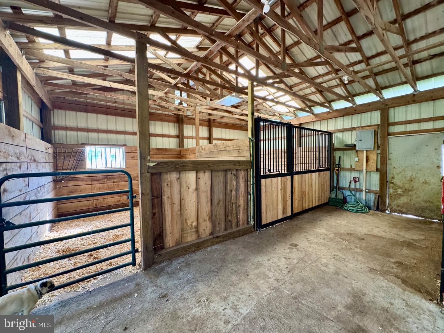 11698 Chaney Spring Rd Property Photo 84