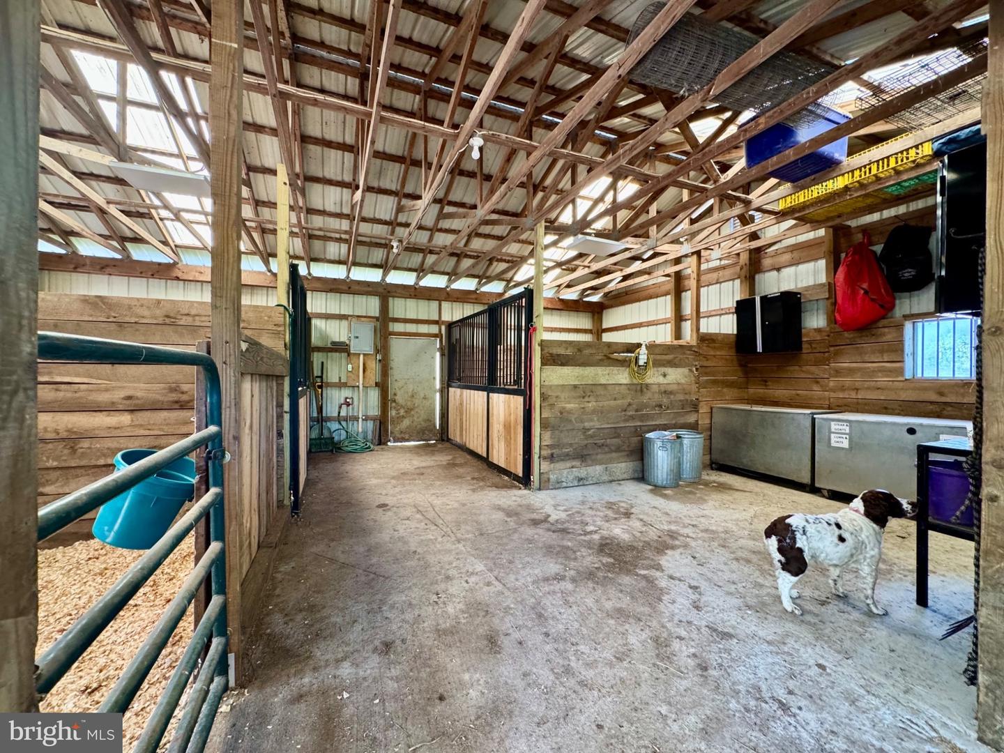 11698 Chaney Spring Rd Property Photo 86
