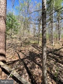 0 Ichabod Ln Property Photo 2