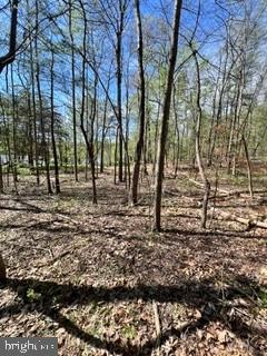 0 Ichabod Ln Property Photo 3