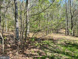 0 Ichabod Ln Property Photo 4