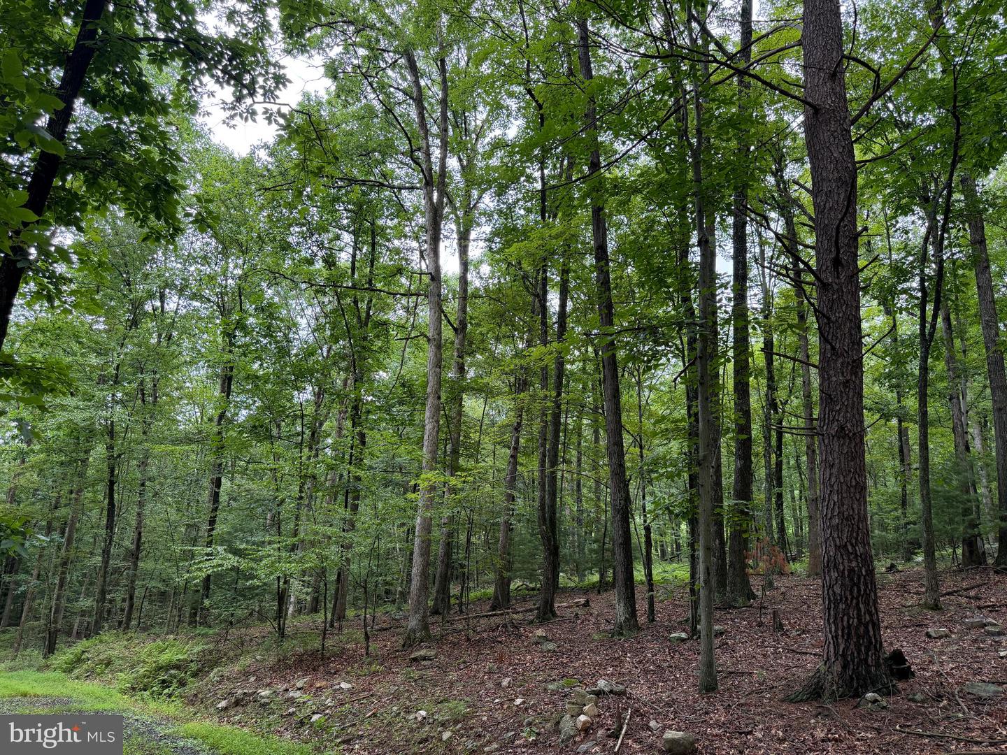 17147 Surgar Run Property Photo 126