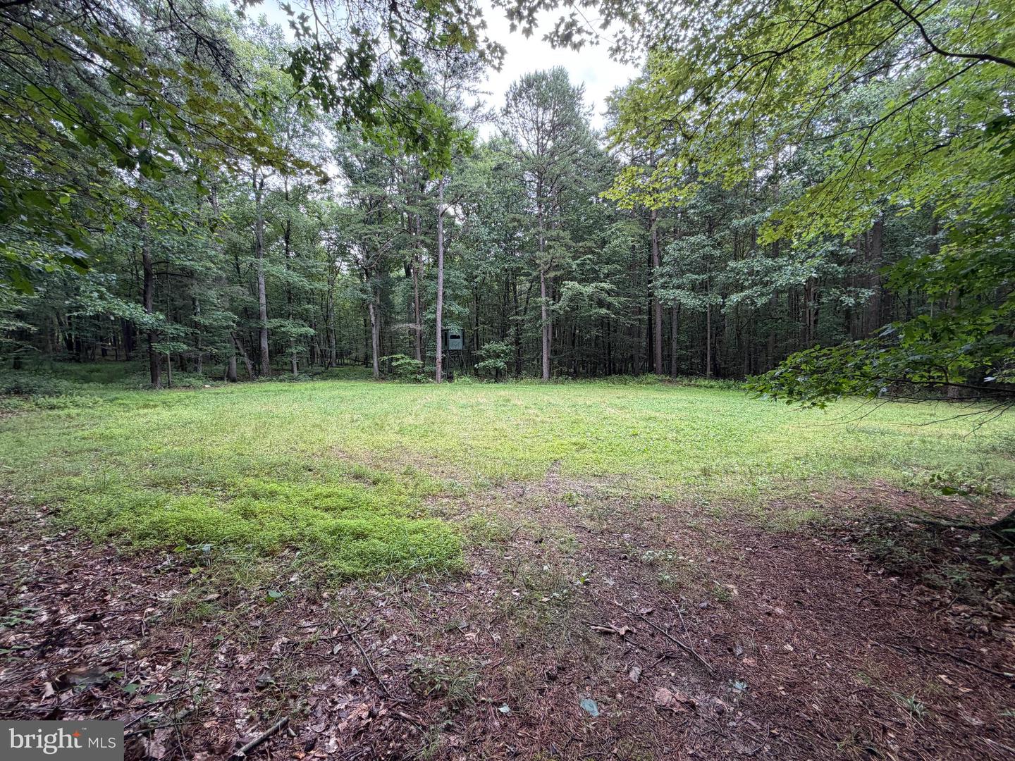 17147 Surgar Run Property Photo 127