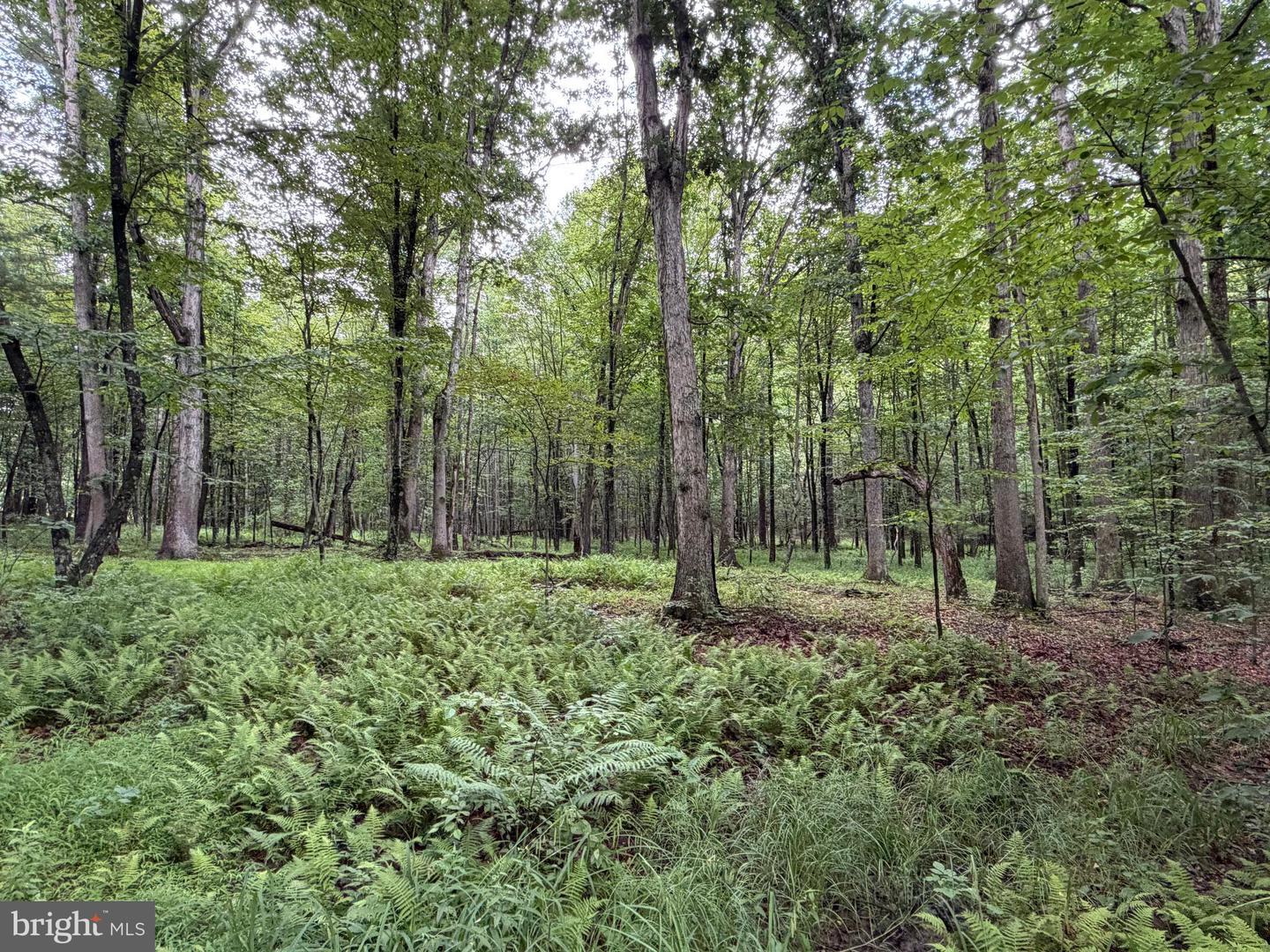 17147 Surgar Run Property Photo 129