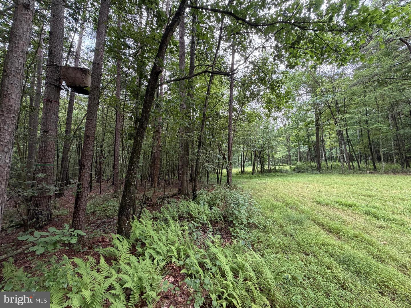 17147 Surgar Run Property Photo 131