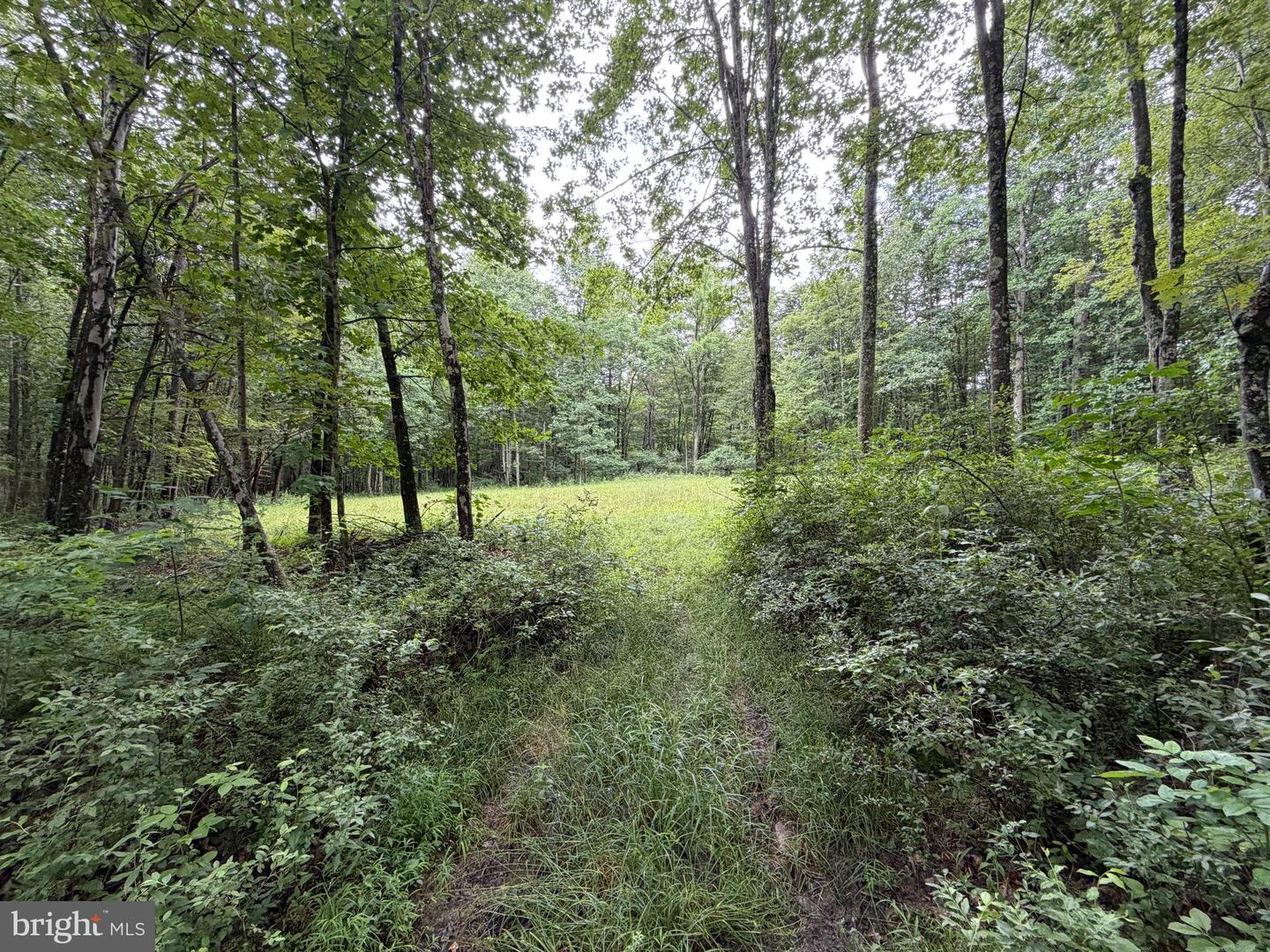 17147 Surgar Run Property Photo 132