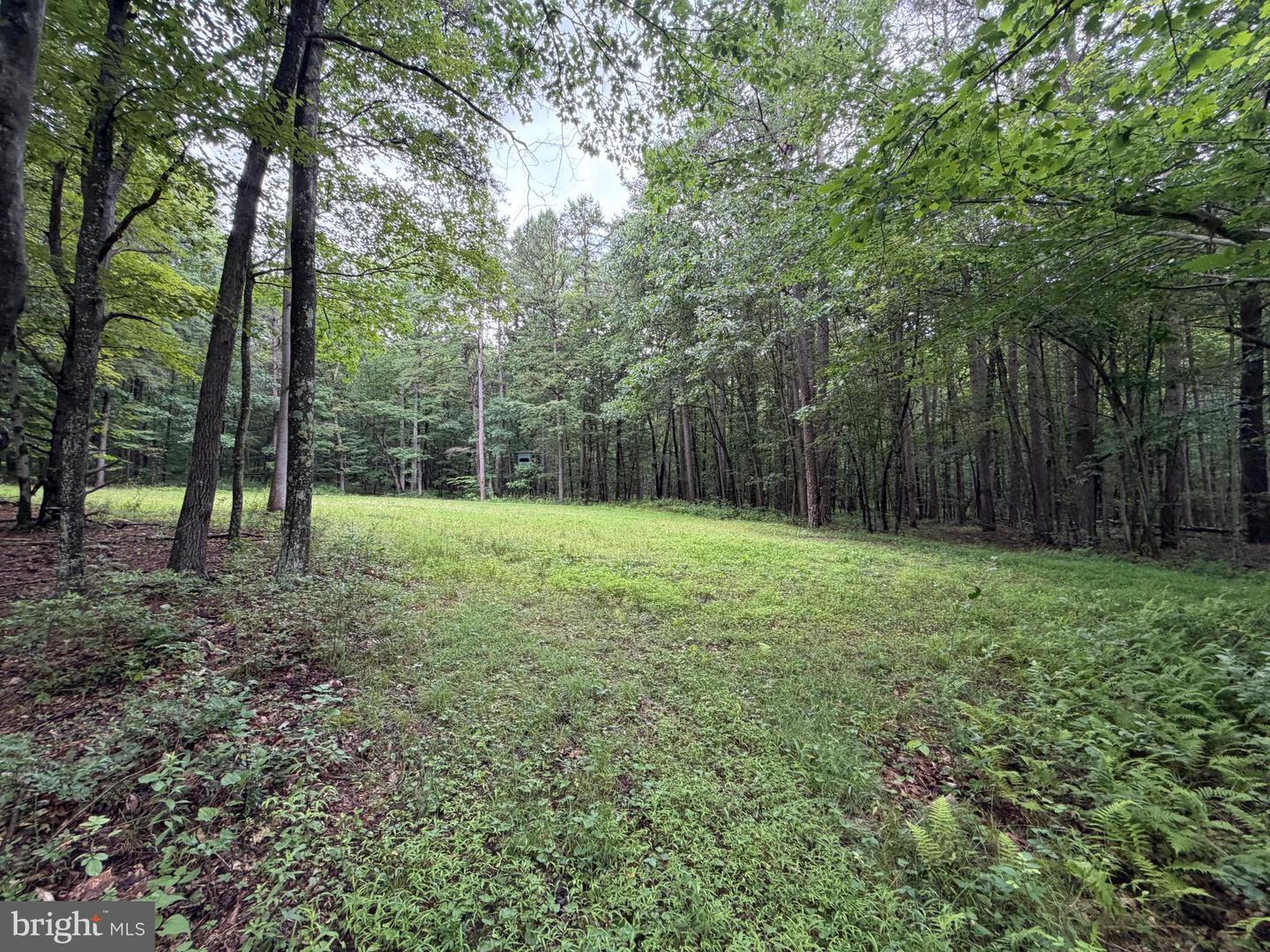 17147 Surgar Run Property Photo 133