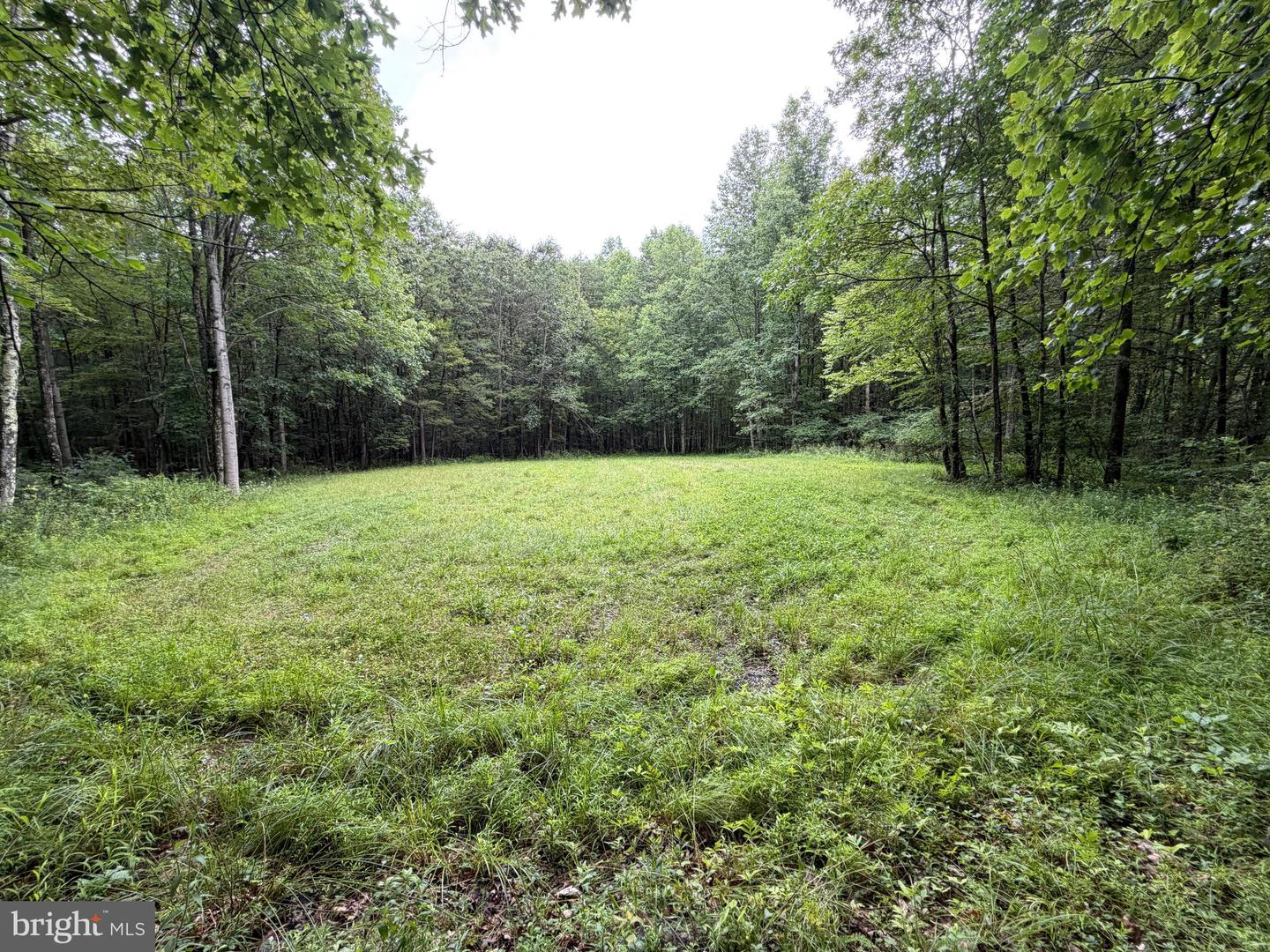 17147 Surgar Run Property Photo 134