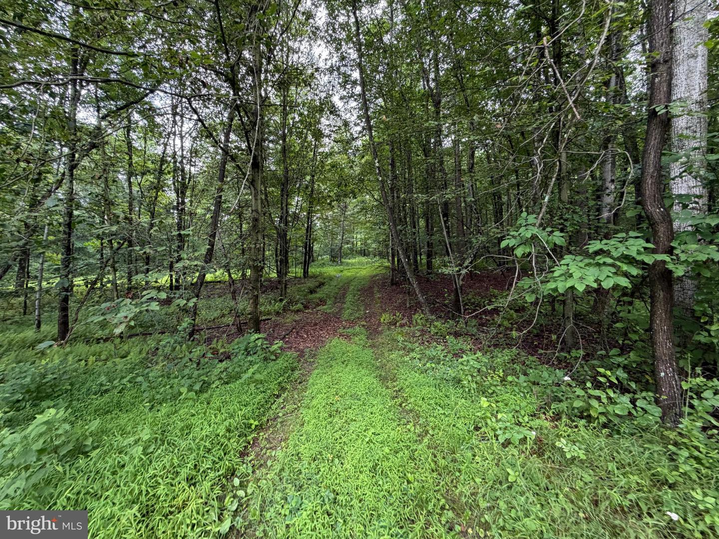 17147 Surgar Run Property Photo 135