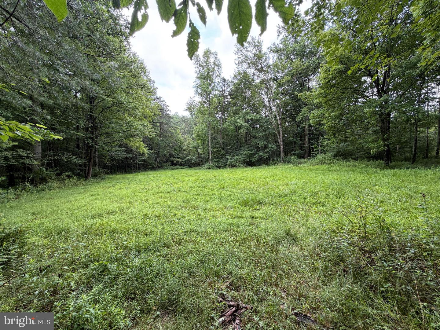 17147 Surgar Run Property Photo 136