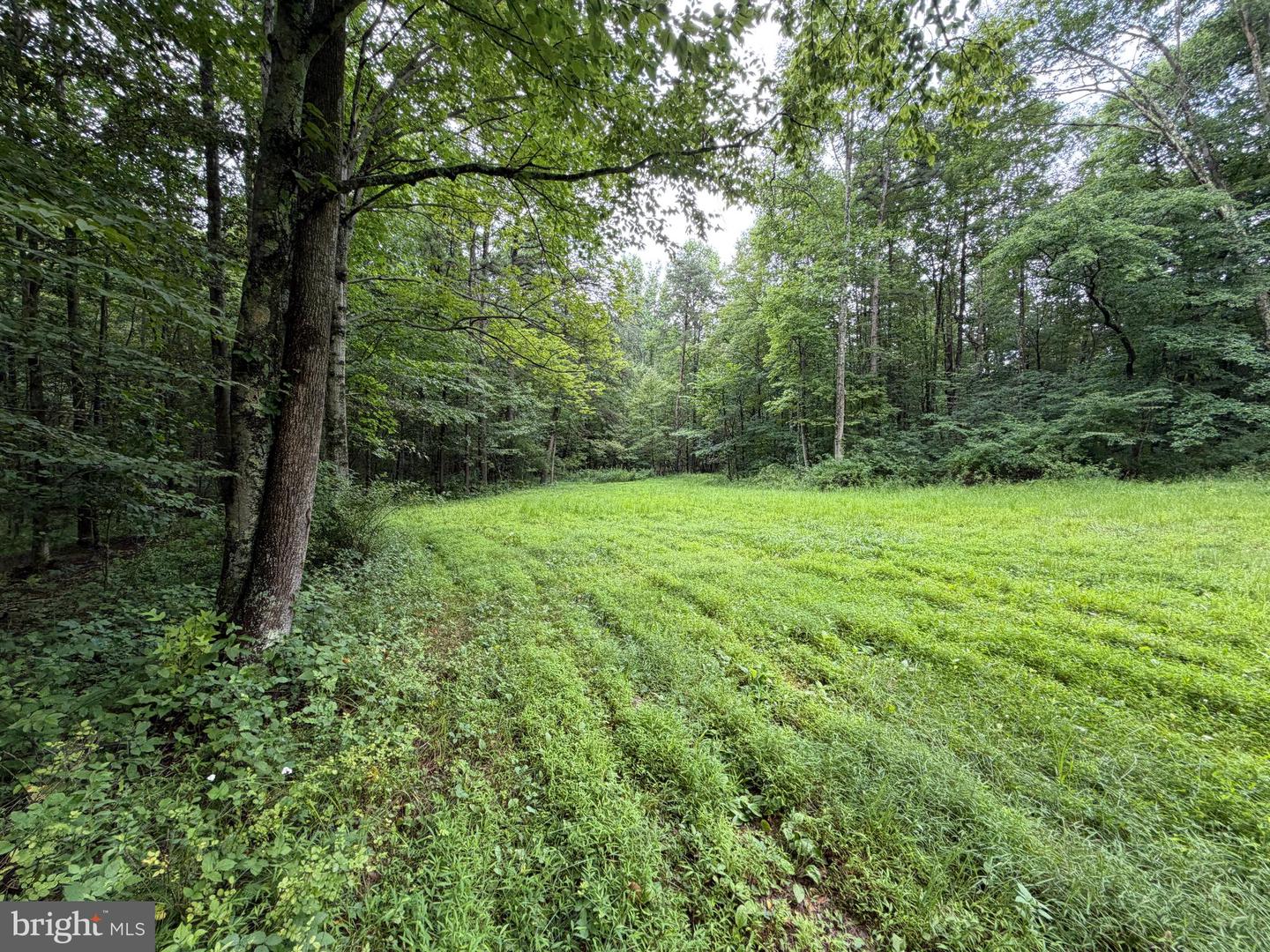 17147 Surgar Run Property Photo 137