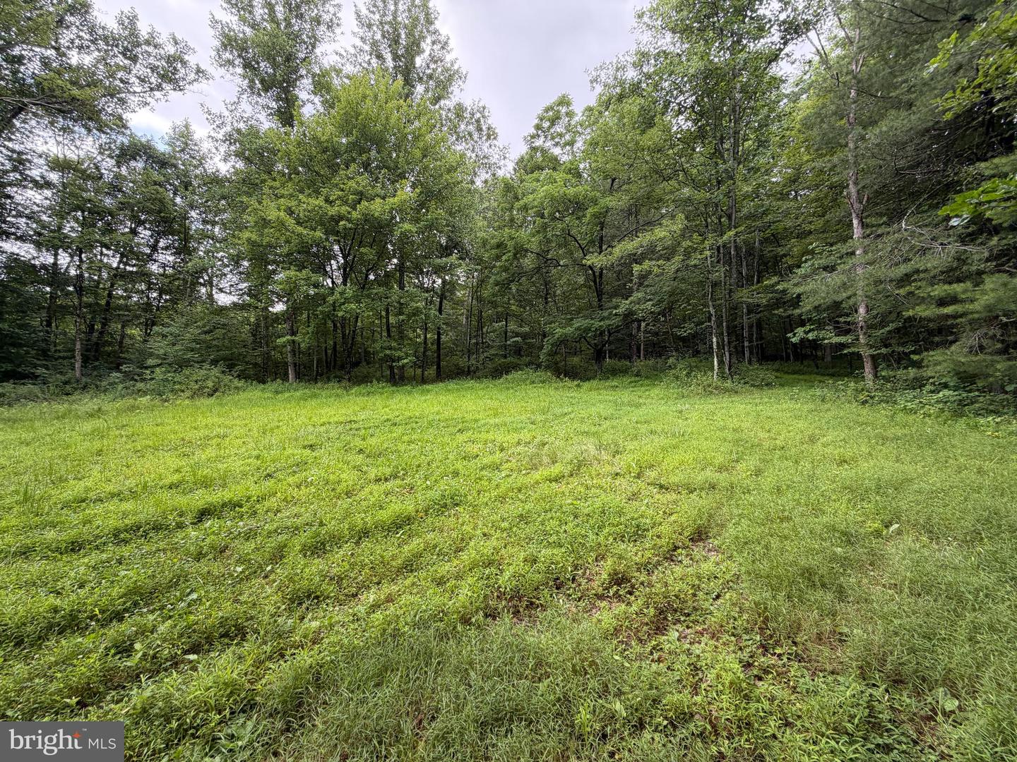 17147 Surgar Run Property Photo 138