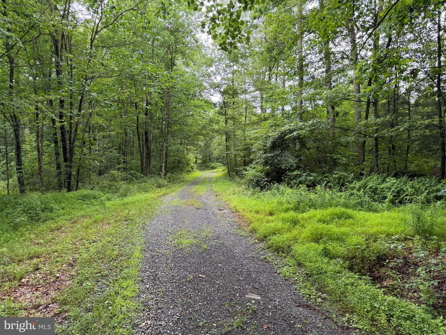 17147 Surgar Run Property Photo 139