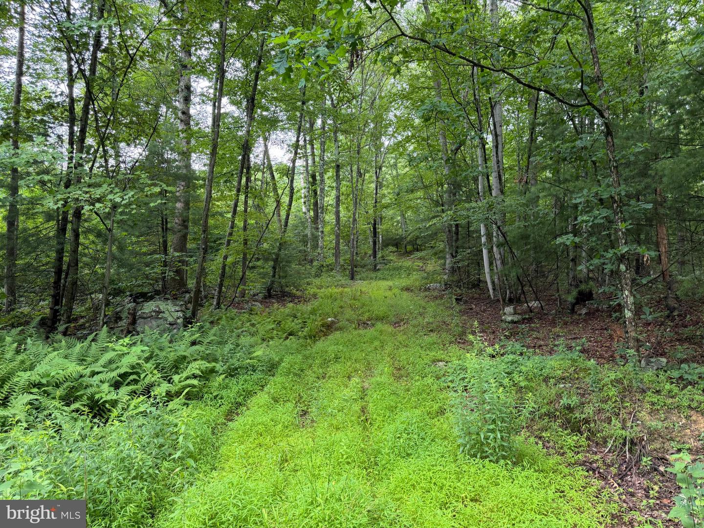 17147 Surgar Run Property Photo 141