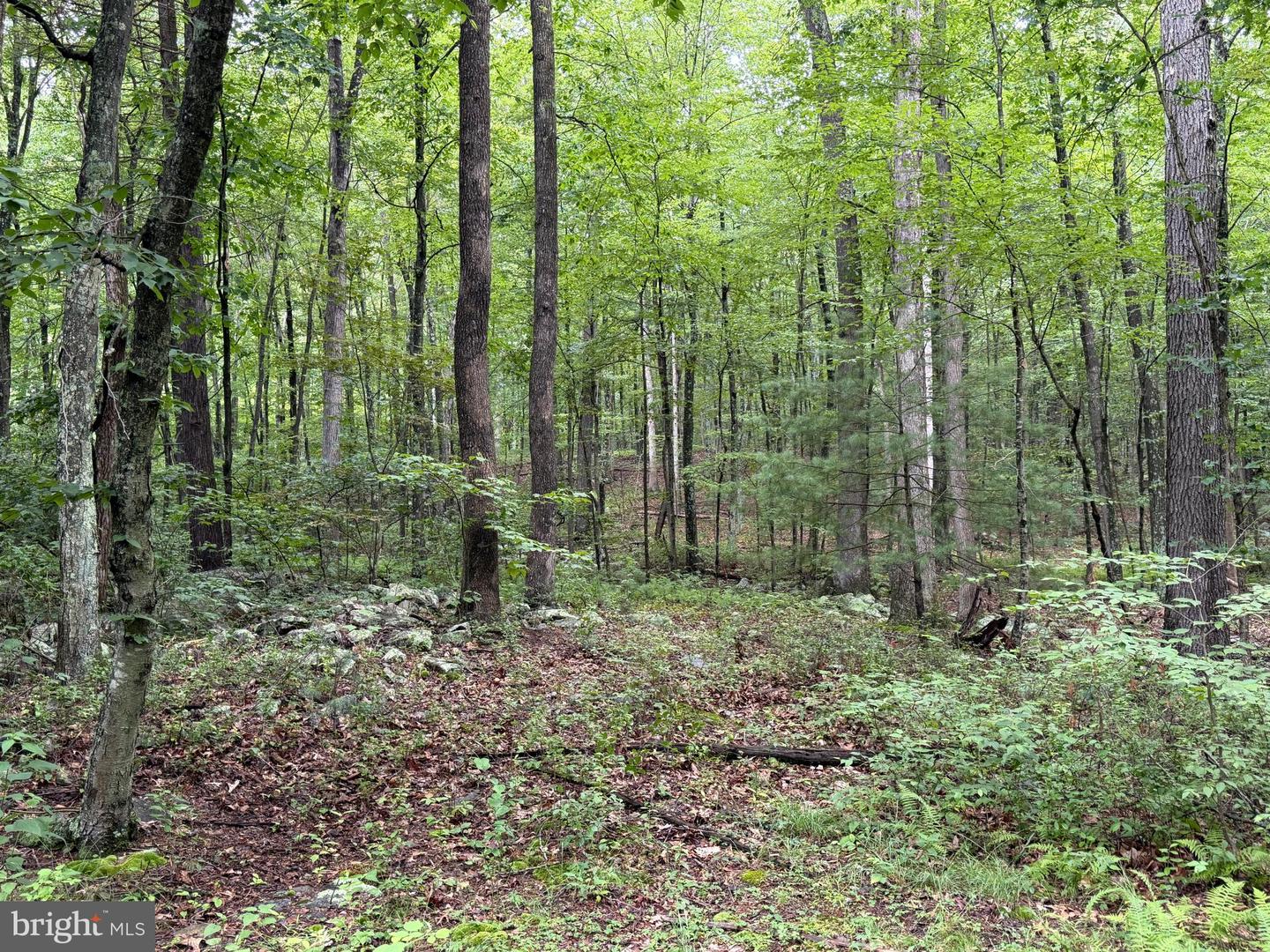 17147 Surgar Run Property Photo 142