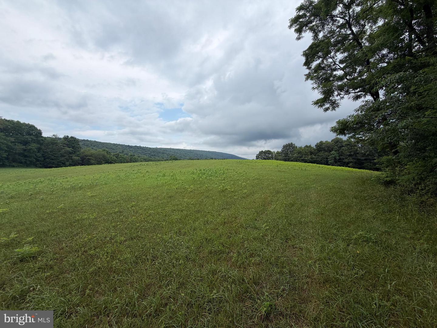 17147 Surgar Run Property Photo 146