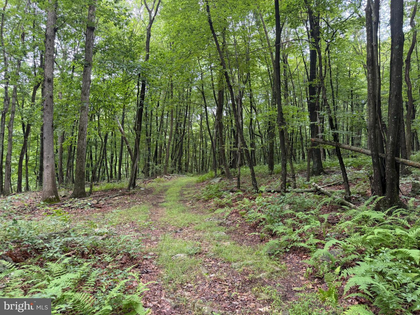 17147 Surgar Run Property Photo 147